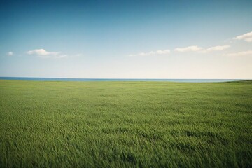Obraz premium green field and blue sky