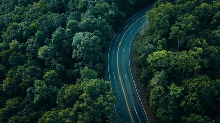 An aerial view of a road winding through a lush green forest.