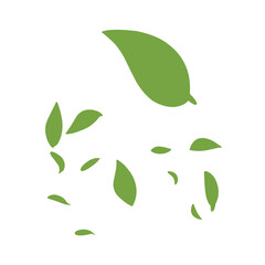 green leaf illustration