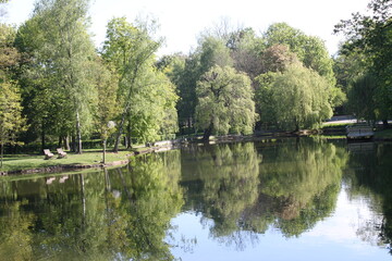 lake in the park