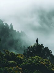 Man standing on a rock in the middle of a foggy forest