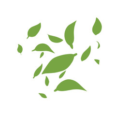 green leaf illustration