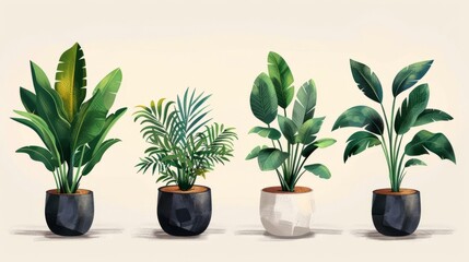 Four illustrations of potted plants