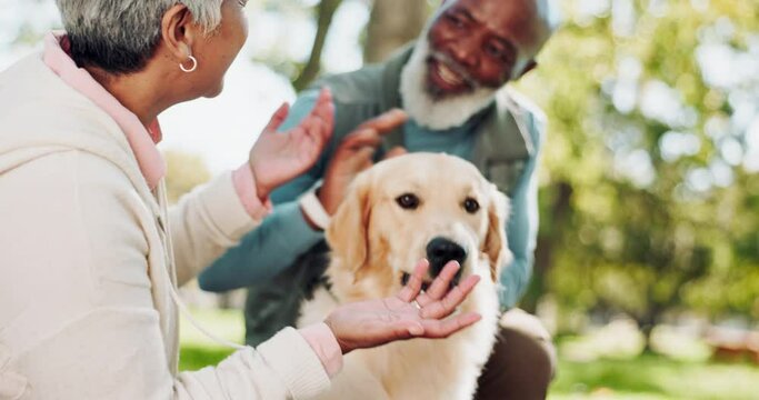 Interracial couple, dog and treat with snack in nature for walk, run or game of fetch at outdoor park. Senior man and woman or owners giving pet, animal or Labrador food for reward, love or care