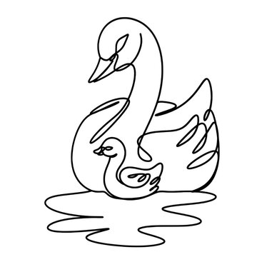 recommend clip art: Mom and baby swans swimming in water one line art