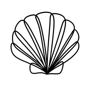 recommend clip art: Seashell one line art