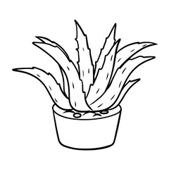 Aloe Vera plant in the pot line art