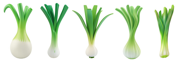 PNG leek 3d icons and objects collection, in cartoon style minimal on transparent, white background, isolate