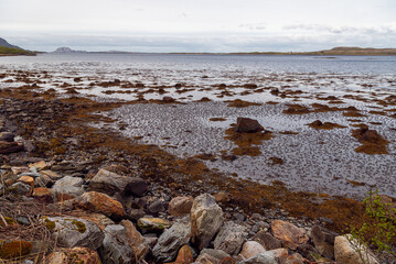  northern norway:nature sceneries on the road from Alesund to Trondheim