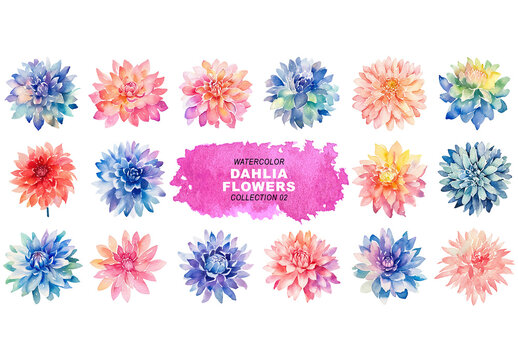 Watercolor painted style dahlia flowers clipart isolated on transparent background. Created using Generative AI.