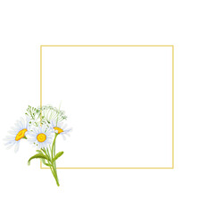 Watercolor frame with daisies and wild herbs. An illustration of a botanical meadow in the form of a handmade clipart on a white isolated background. For designers, decor, postcards, wrapping paper
