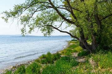 Bodenseeufer zwischen Hagnau und Meersburg