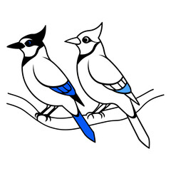 couple blue jay siting on the tree stick coloring book page vector art illustration, solid white background