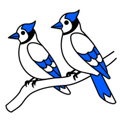 couple blue jay siting on the tree stick coloring book page vector art illustration, solid white background
