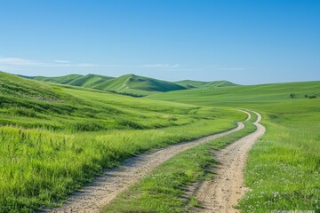Fototapeta premium dirt road through a lush green grassy hill
