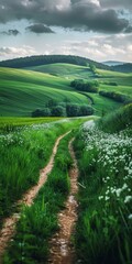 Fototapeta premium Countryside dirt road through a lush green field