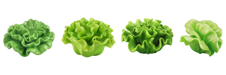 Fototapeta premium PNG lettuce 3d icons and objects collection, in cartoon style minimal on transparent, white background, isolate