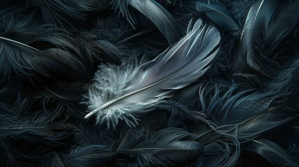 Elegant silver feather lying on a bed of soft dark feathers