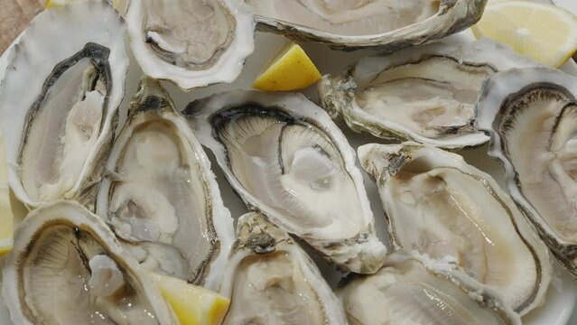 Fresh raw edible oysters, popular shellfish seafood close-up. Mollusk marine oysters.