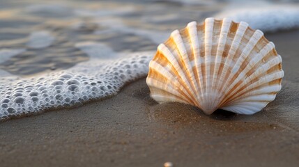 Colorful beach accessories and products displayed on sandy beach background for stock photo sale