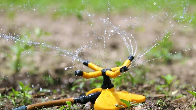 sprinkler spraying water on grass
