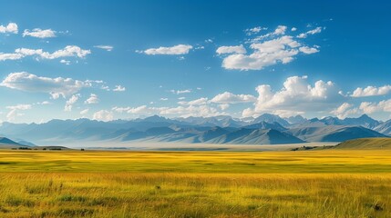 Vast golden field under a blue sky with scattered clouds, framed by distant mountain ranges.