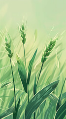 plant, agriculture, wheat, grain, illustration