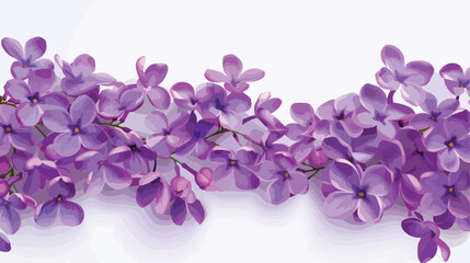 Beautiful bright lilac flowers on white background Vector