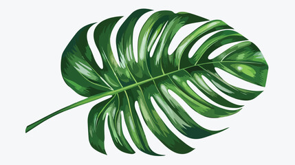 Beautiful tropical leaf on white background Vector illustration