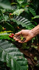 A coffee tasting club where the beans are harvested from plants grown on different planets