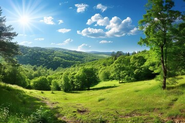 Obraz premium The sun shines brightly over a valley filled with vibrant green foliage