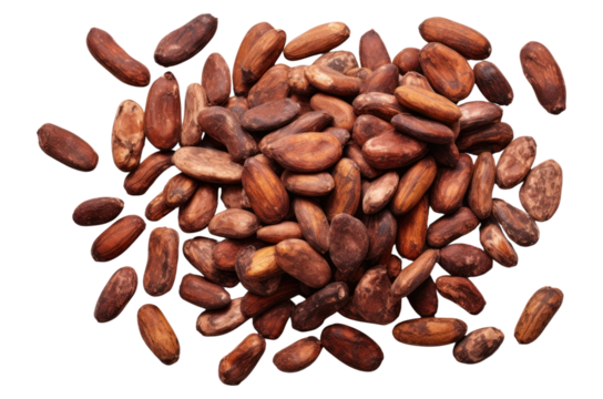 PNG Backgrounds food white background freshness.