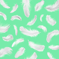 Fluffy bird feathers falling on green background