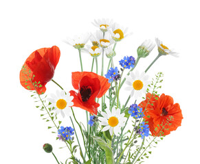 Bouquet of beautiful meadow flowers isolated on white