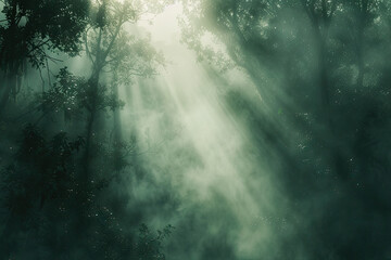Foggy Forest Frame: a misty branches of trees in a foggy forest, adding an ethereal and mysterious...