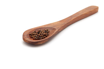 Front view of a wooden spoon filled with Organic Salvia (Salvia officinalis) seeds. Isolated on a white background.