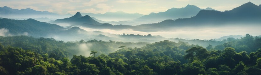Fototapeta premium A forest with a misty, foggy atmosphere. The trees are lush and green, and the sky is cloudy