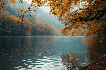 Obraz premium A beautiful autumn landscape with a lake surrounded by colorful trees
