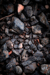 Rock Background Texture