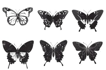 A set of six elegant black and white butterflies. Perfect for nature or beauty concepts