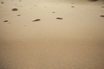 footprint in sand