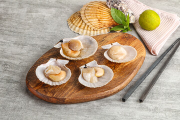 Raw natural scallop in its shell