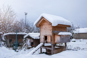 Hen house in the garden.Winter season. © Munka