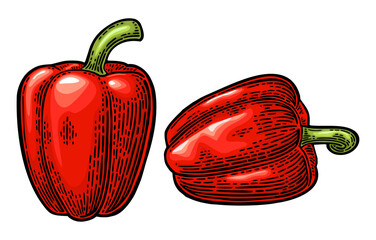 Whole red sweet bell pepper. Vector color vintage engraving illustration - 803276753