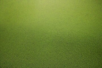 green texture