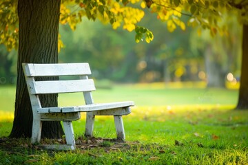 A wooden bench is positioned under a tree in a park, providing a spot for rest and relaxation amidst nature