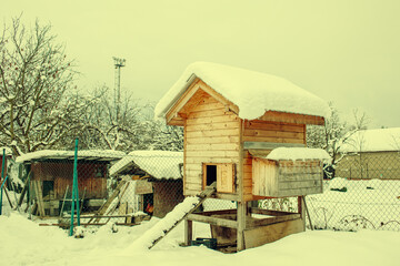 Hen house in the garden.Winter season. © Munka