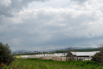 Fototapeta premium Rural landscapes with many greenhouses in the field