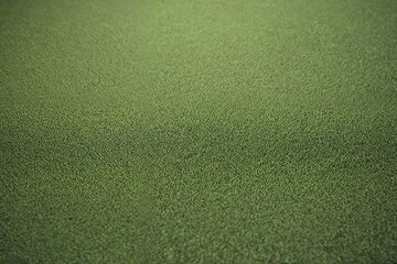 green grass background