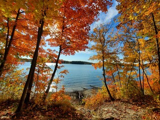 Fall in Ohio